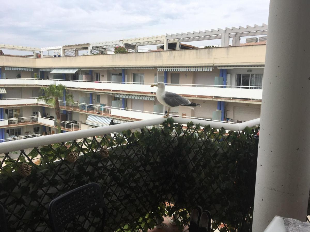 Superbe Appartement Avec Solarium Et Piscine Communautaire 罗萨斯 外观 照片
